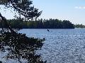Halosenniemi